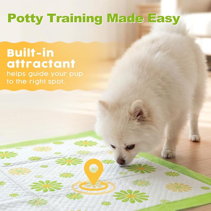 MIZOK Puppy Pads with Adhesive Tabs Green Daisy Prints Small 22x22in 100Ct | Cute Printed Wee Wee Pads for Dogs Feature Fun Designs and Sticky Bottom Strips to Keep Indoor Training Mess Free