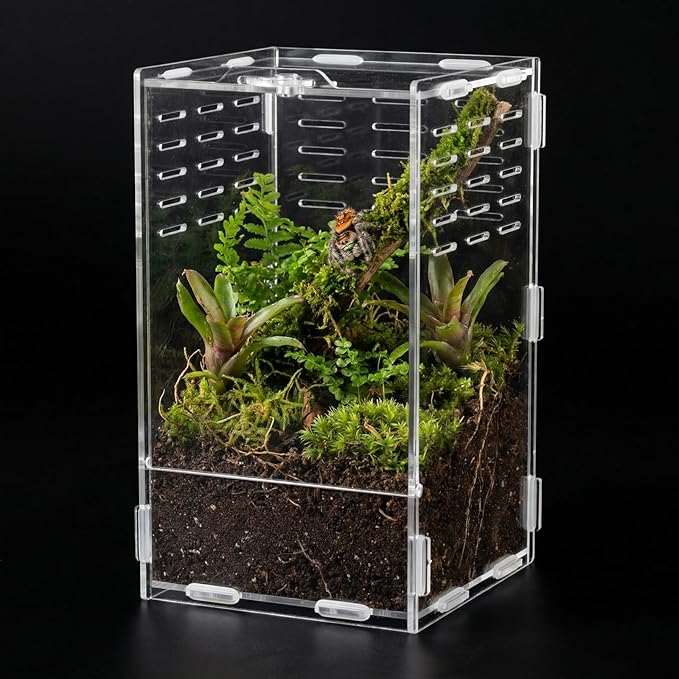 9.8 Inch Jumping Spider Enclosure, Desktop Micro Terrarium, Breeding Box, 360° Clear Acrylic Insect Habitat, 3-Side Ventilation, Easy Assembly, for Mantis, Tarantula, Snail, Small Reptiles, Plants