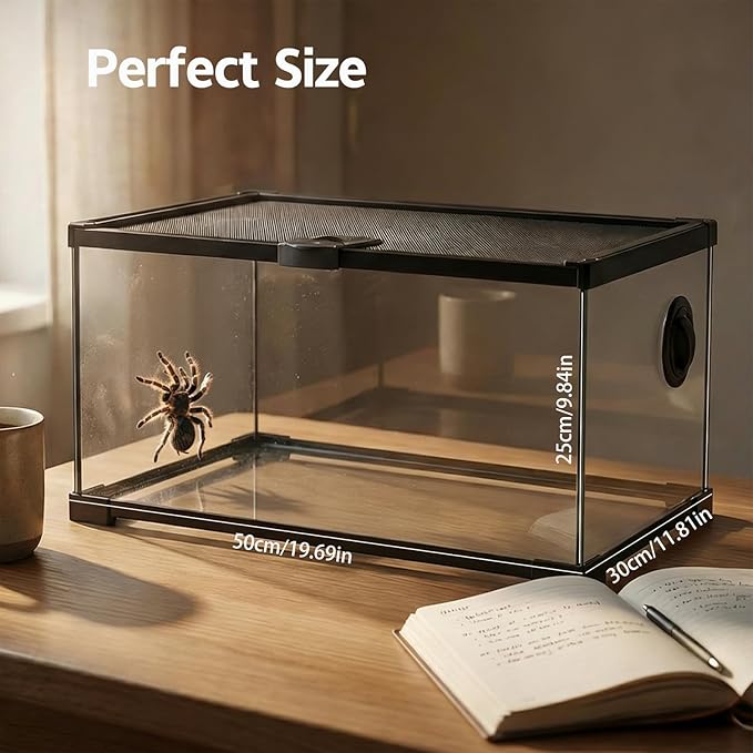 10 Gallon Reptile Tank: 20x12x10 Leopard Gecko Tank with Sliding Screen Top - Glass Terrarium with Lockable Lid for Small Lizard Snake Turtle Hermit Crab Habitat - Desert Dedcor Accessories
