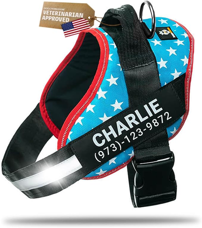 Personalized Dog Harness with Custom Name Patches, Adjustable Reflective No Choke Dog Vest with Handle for Large Dogs, Light Blue, L