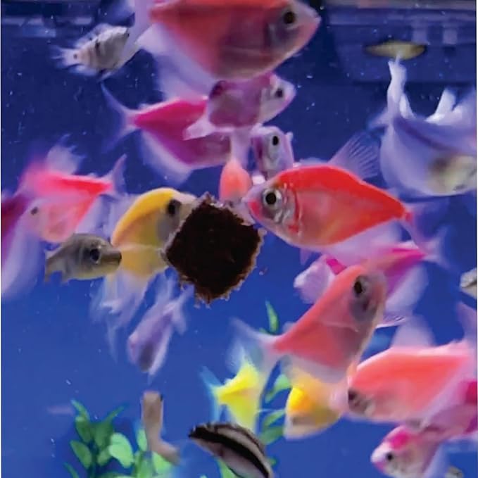 Super Cichlids Freeze Dried California Blackworms - All Natural - Perfect for Marine & Tropical Aquariums - High Protein, No Preservatives - Ideal Live Blackworms Alternative Fish Food (75 Grams)
