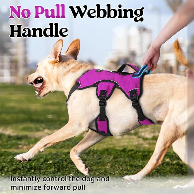 rabbitgoo Escape Proof Dog Harness for X-Large, No Pull with Lift Handle | No Escape, Full Soft Padded, Reflective Adjustable Vest, Leash Clip for Walking Hiking Training, Purple, X-Large