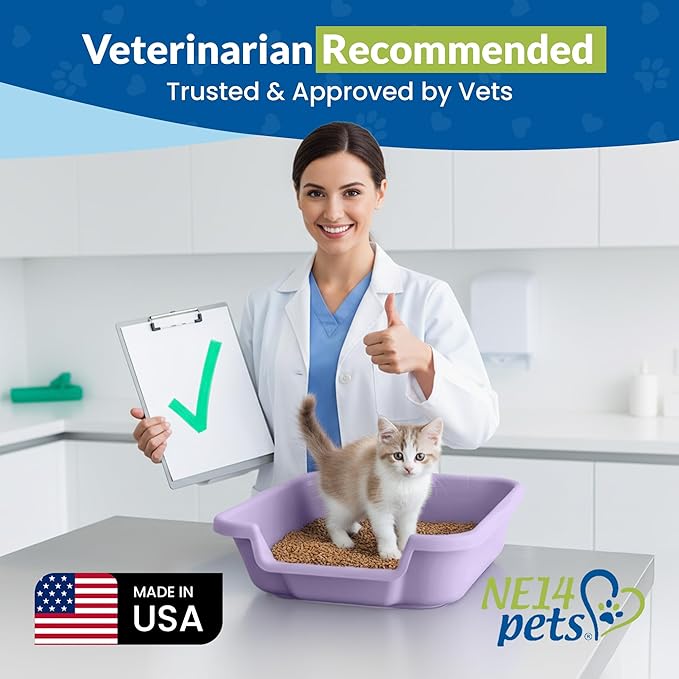 Kitty Go Here Small Size, Storybook Lavender Color, Durable & Pet Safe Kitty Litter Box, Low 3" Entry and Lots More Room for Your Cats Comfort, Made in USA
