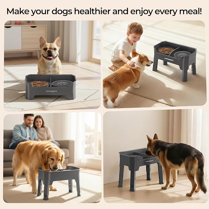 URPOWER Mess Proof Elevated Dog Bowls 4 Height Adjustable Raised Stand | No Spill Water Bowl, Slow Feeder Dog Bowls, Non-Slip Food and Water Bowl Set for Small, Medium & Large Dogs