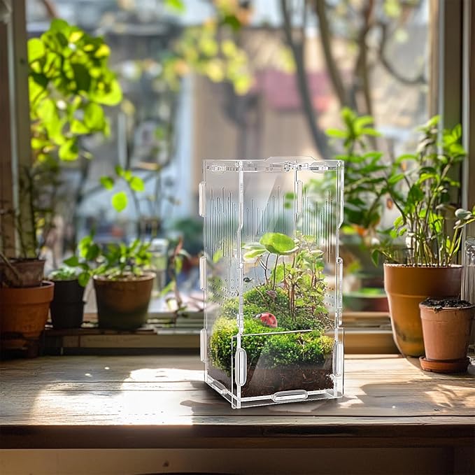 4"x4"x8" Jumping Spider Enclosure, Acrylic Tarantula Tank, Small Reptile Terrarium, Praying Mantis Habitat, Critter Keeper for Scorpion Isopod Iguana Leopard Gecko Frog Bearded Dragon