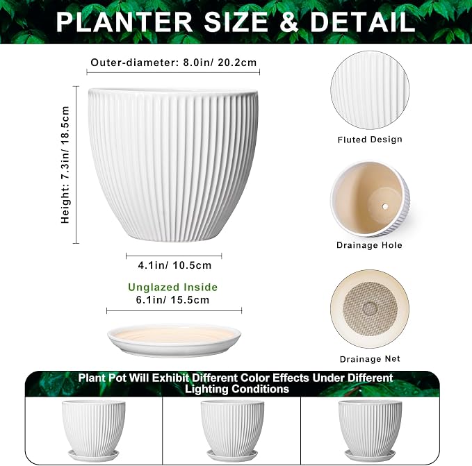 8 Inch Plant Pot, Ceramic Planters for Indoor Plants, Round Pots for Plants with Drainage Hole and Saucer, Modern Decorative Flower Pots, Office Bedroom Decor, Gifts for Plant Lovers, White