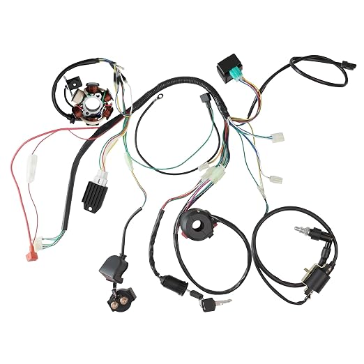 PRO BAT Full Electrics Wiring Harness Kit | for 50cc 70cc 90cc 110cc 125cc Chinese ATV Quad Bike 4 Wheeler Coolster Baja SunL Taotao JCL with CDI Coil Magneto Stator