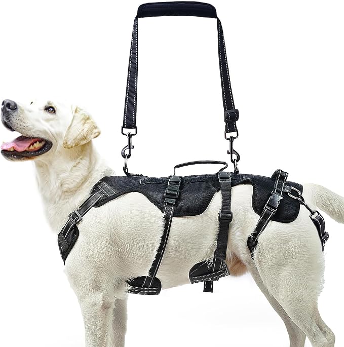 PUPTECK Dog Lift Harness for Medium Large Sized Dog, Rehabilitation Sling for Hind Leg Support, Multifunctional Mobility Assistance Harness for Old, Disabled, Joint Injuries, Paralysis Dogs, Black M