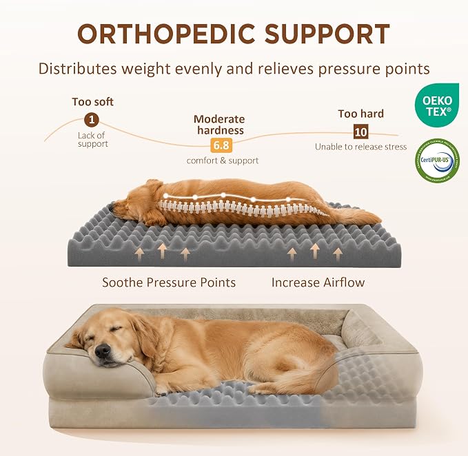 Comfort Expression Waterproof Orthopedic Dog Beds for Large Sized Dog | Supportive Egg Crate Foam Large Pet Bed with Removable Bolster, Dog Couch with Washable Cover & Non-Slip Bottom, 35x22 Inch