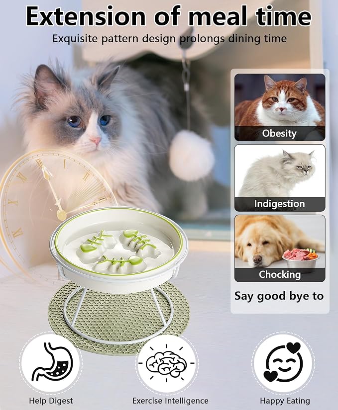 Ceramic Elevated Slow Feeder Cat Bowl, Anti Vomit, Removable Dish, Green | Removable Ceramic Bowl Elevated Anti Vomit Whisker-Friendly Wet & Dry Food Green Glazed Finish