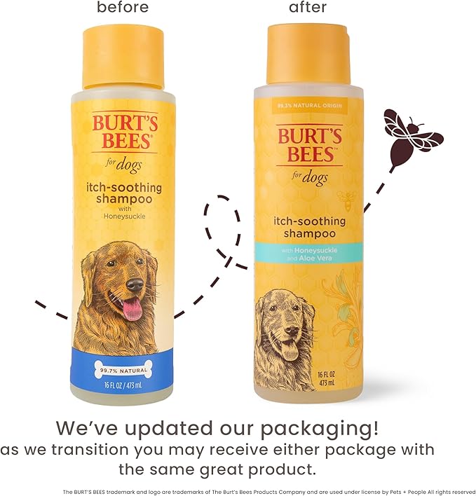 BURT'S BEES FOR PETS Itch Soothing Dog Shampoo for Itchy Skin, pH Balanced Honeysuckle with Skin-Conditioning Honey, 95%+ Natural Origin Formula, No Sulfates, Fragrances, or Colorants, 16 Fl Oz