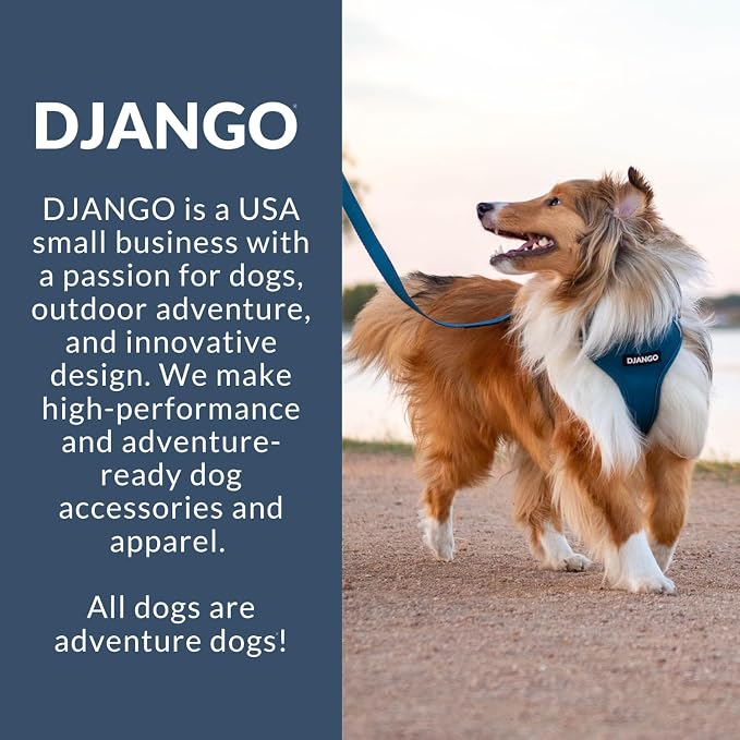 Adventure Dog Harness - Stylish and Durable Large Dog Harness for Outdoor Adventures and Everyday Wear - Forest Green Neoprene Adjustable Harness for Dogs with Reflective Piping & Brass D-Ring