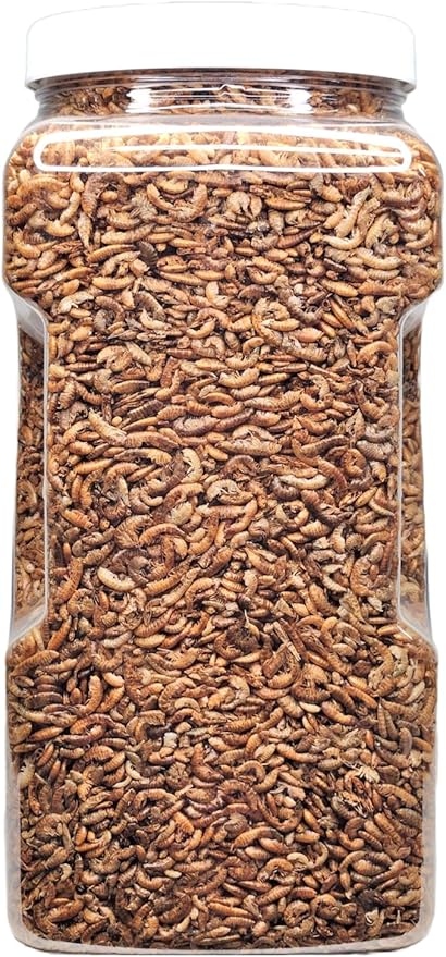 Aquatic Foods Inc. Gammarus Shrimp-Freeze Dried. Great for All Tropical, Marine, Cichlids, Carnivores, Discus, Coldwater Fish, Goldfish, Koi, Turtles Even Birds and Reptiles…1-lb Lg Jar