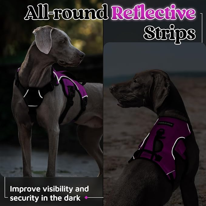 rabbitgoo Escape Proof Dog Harness for X-Large, No Pull with Lift Handle | No Escape, Full Soft Padded, Reflective Adjustable Vest, Leash Clip for Walking Hiking Training, Purple, X-Large