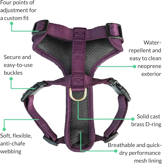 Adventure Dog Harness - Stylish, and Durable Large Dog Harness for Outdoor Adventures and Everyday Wear - Plum Purple Neoprene Adjustable Harness for Dogs with Reflective Piping, Brass D-Ring