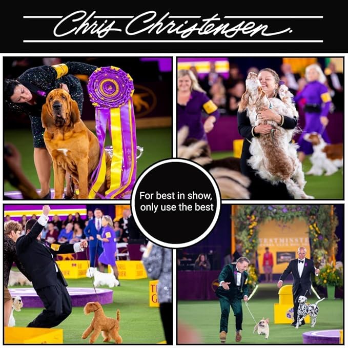 Chris Christensen Boar Dog Brush, Groom Like a Professional, Natural Boar Bristles, Beech Wood Handle, Distributes Natural Oils Making for a Healthy Coat