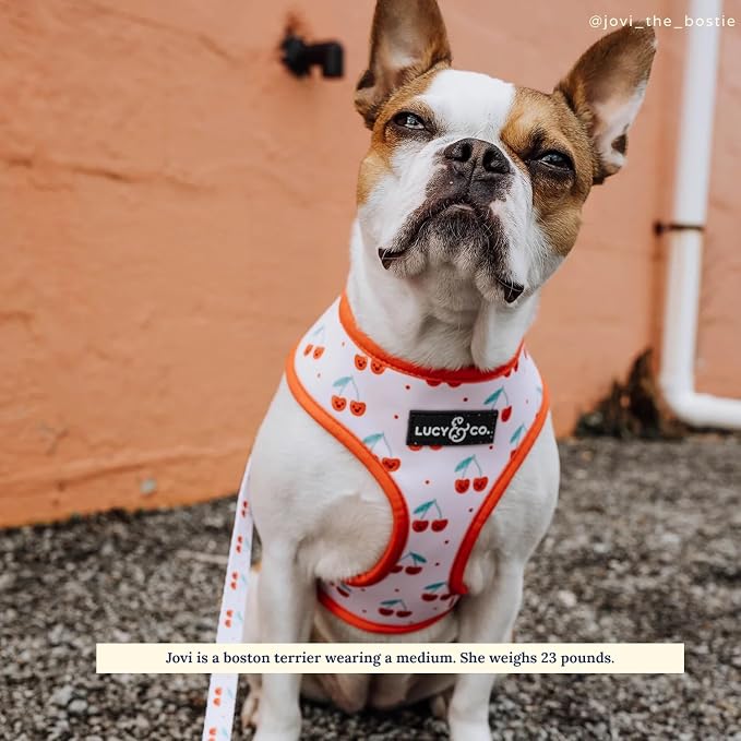 Lucy & Co. Reversible Dog Harness - Water-Repellent Neoprene, Dual-Print Design, Easy Swap Style, Adjustable Comfort Fit - Cheery Cherries Reversible Harness - X-Small