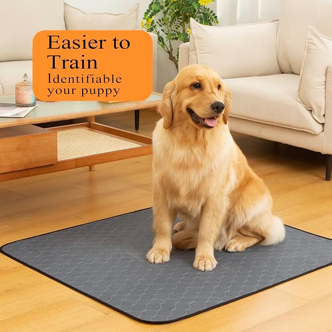 Bunlitent Washable Pee Pads for Dogs, 48x60, 2 Pack, Reusable Puppy Pads | Reusable, Quick Dry, Anti-Slip, Large, Waterproof, Whelping Pad for Pet, Playpen, Incontinence, Housebreaking, Training, Grey