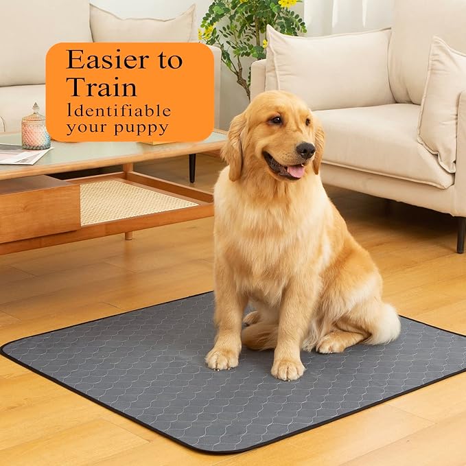 Bunlitent Washable Pee Pads for Dogs, 48x48, 2 Pack, Reusable Puppy Pads | Reusable, Quick Dry, Anti-Slip, Large, Waterproof, Whelping Pad for Pet, Playpen, Incontinence, Housebreaking, Training, Grey
