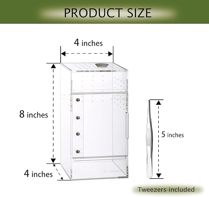 Acrylic Terrarium for Reptiles & Spiders – Small/Medium/Large Leak-Proof Enclosure (Horizontal/Vertical) | Ideal for Tarantulas, Jumping Spiders, Frogs & Geckos(Small, Vertical)