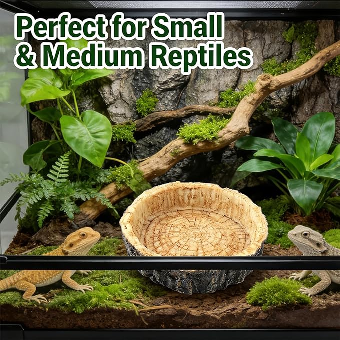 Reptile Bowls,Reptile Water Dish Reptile Water Bowl Reptile Accessories Snake Water Bowl for Small Reptiles, Lizard & Snake - Practical Reptile Accessory for Feeding and Hydration