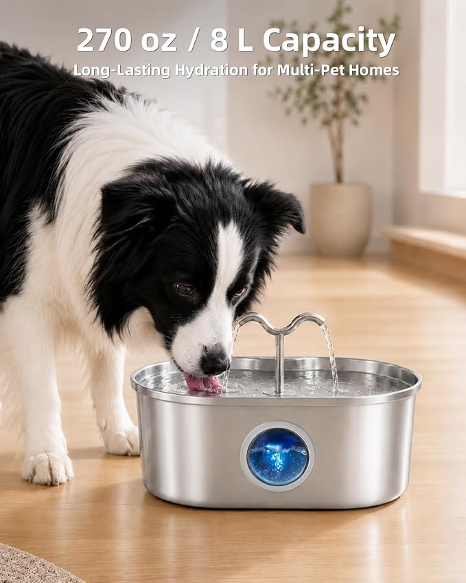 8L/270oz/2Gallon Stainless Steel Dog Water Fountain Pet Fountain | Automatic Pet Water Dispenser - Self-Designed Filtration System - Ultra-Quiet Pump - Easy Cleaning & Maintenance (3 Filters)