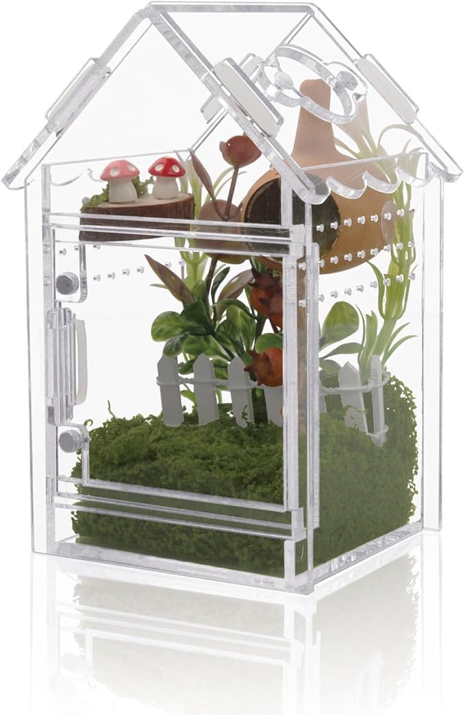 Acrylic Terrarium Kit for Jumping Spiders & Tarantulas - 3.15"x3.15"x5.6" Spider Enclosure with Magnetic Feeding Door & Secure Latch - Ideal Reptile Cage, Praying Mantis Habitat, Bug Terrarium