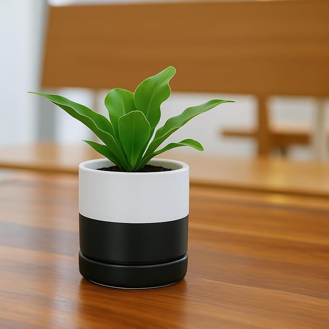 D'vine Dev 3.5 Inch Ceramic Planter Pot, Black White Two Tone, 94-O-A-L | Modern Cylinder Design, Drainage Hole & Saucer Included, Stable Structure, Elegant Home Accent