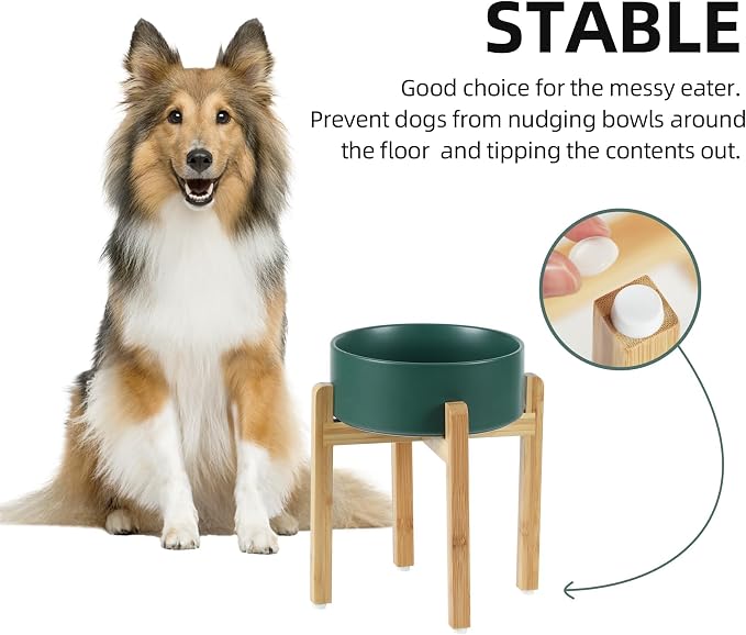 Havniva Dog Bowls Elevated, Ceramic Dog Food and Water Bowl | 8.3” Raised Dog Food Bowl, Elevated Dog Bowls with Bamboo Stand, Non-Slip Dog Water Bowl for Large Dog, Large Capacity