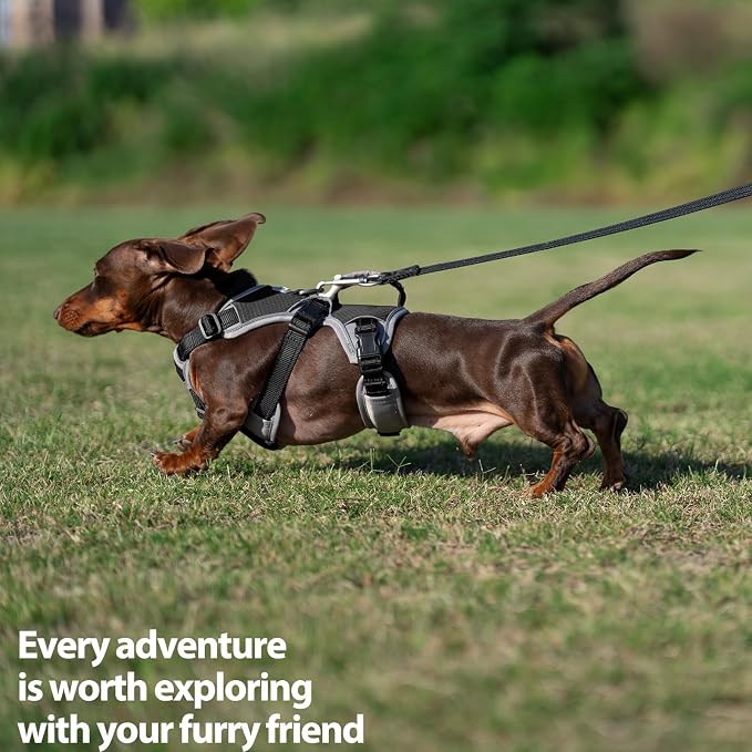 Escape Proof Dog Harness, Dachshund Harness, Reflective Dog Harness with Handle, Durable,Adjustable Vest for Small Medium Large Dogs Walking, Training, and Running Gear (Black,M)