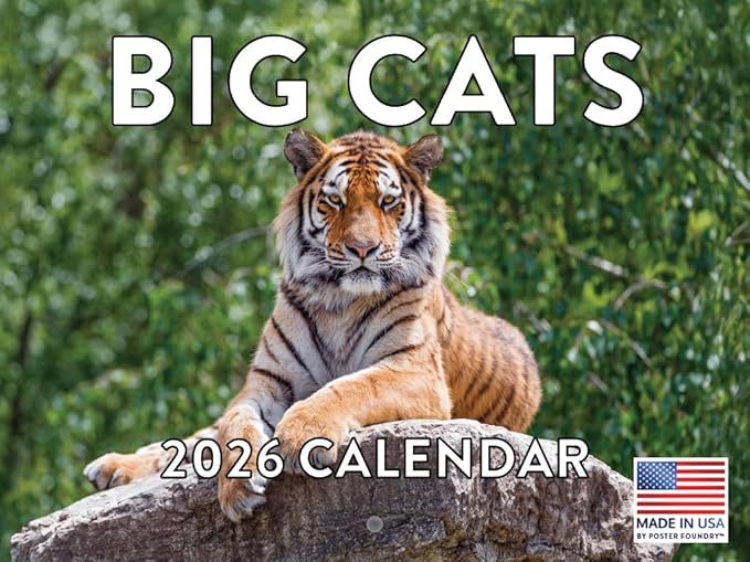 Wild Big Cats Calendar 2026 Wildlife Monthly Wall Calender 12 Month | American Made In The USA