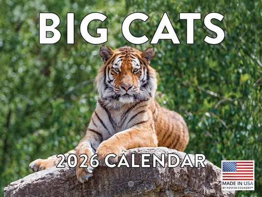 Wild Big Cats Calendar 2026 Wildlife Monthly Wall Calender 12 Month | American Made In The USA