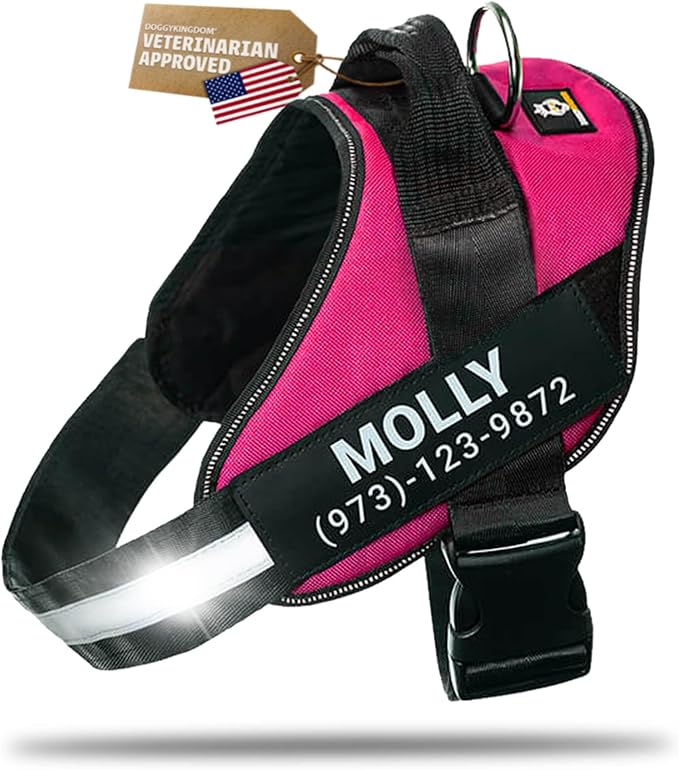 Personalized Dog Harness with Custom Name Patches, Adjustable Reflective No Choke Dog Vest with Handle for Small Sized Dog, Rose Red, S