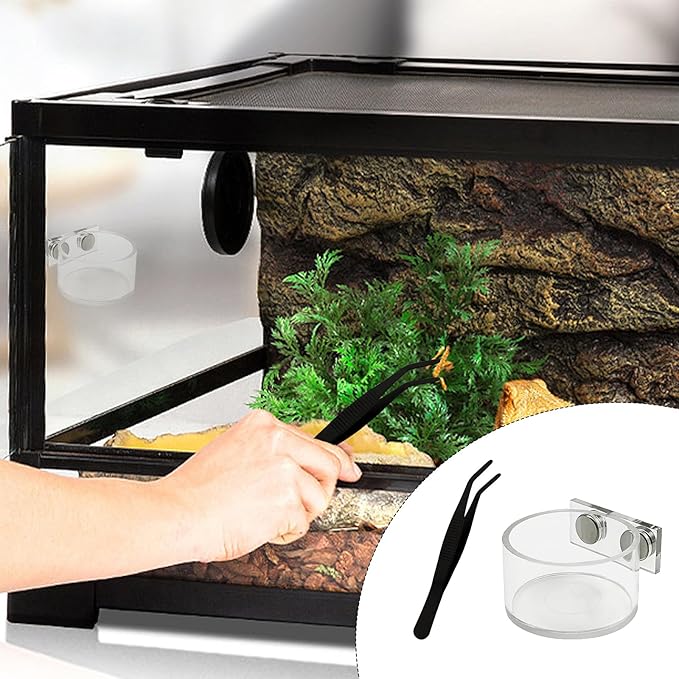 Jumping Spider Feeding Dish Cover, Decorative Magnetic Plastic Water Bowl and Tweezers, Jumping Spider Enclosure Accessories Magnetic Water Bowl Easy to Install