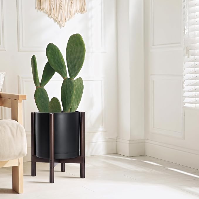 D'vine Dev Plastic Pot with Walnut Wood Stand, Black, 12 in, 55-C-O-2 | Mid-Century Inspired Design, Elevated Plant Display, Clean Lines, Sturdy Support, Modern Space-Saving Style