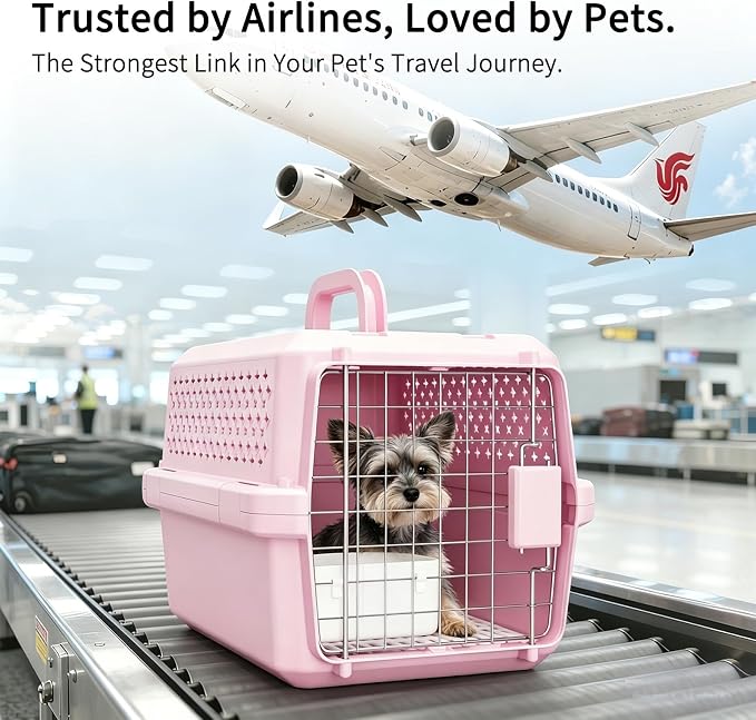 RIZZARI XS Pet Carrier for Small Cats & Dogs, Hard-Sided Travel Crate | Fits Pets Up to 10 lbs,Compact Travel Size,Secure Locking Door,Fresh Air Ventilation,Includes Food Bowl,Great for Vet Visits