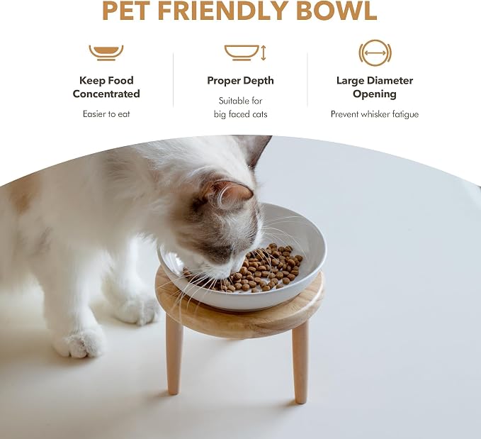 Havniva Elevated Cat Bowls, Cat Food and Water Bowl Set, Ceramic Cat Bowl | Raised Cat Food Bowls, Whisker Friendly, 5.6” Shallow Cat Dishes, Wide Cat Plates, Non-Slip Wood Stand, Two Heights