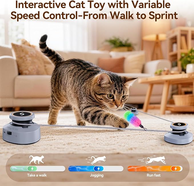 Jripae Automatic Interactive Cat Toys for Indoor Cats with DIY Chase Track | Adjustable Speed, Rechargeable Electric Moving Treadmill Self-Play Exercise Toy with Feather for Bored Kittens & Adult Cats