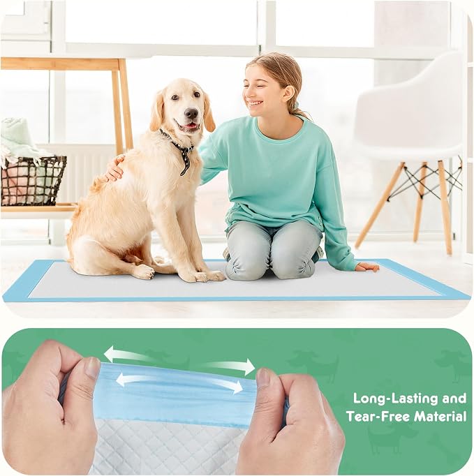 DUMOS 100 Count Puppy Dog Pads, Disposable Dogs Potty Pee Training Pads | 6-Layer Super Absorbency, Disposable Pet Leakproof Quick Drying, 22"×22"× Regular Size