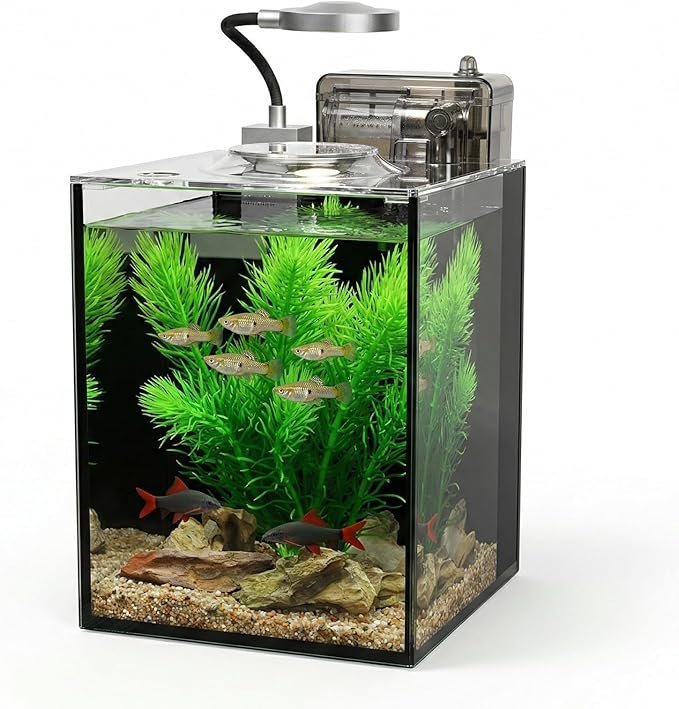 1.2 Gallon Small Aquarium Set Glass Fish Tank,Desktop Small Aquarium Kit for Beginners and Children to Keep Betta Fish, Goldfish, Shrimp, and Aquatic Plants (Black, 1.2 Gallon (Complete Kit))