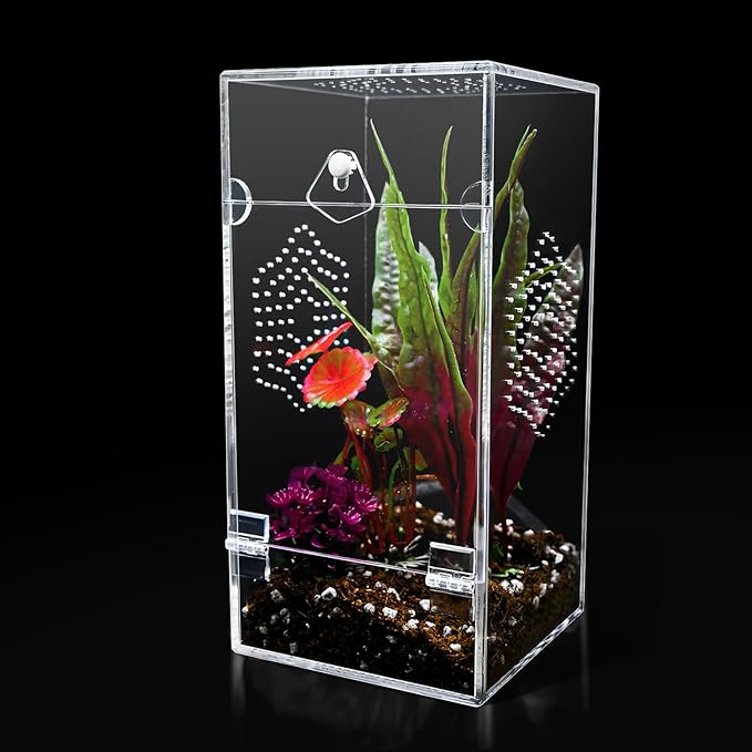 Acrylic Jumping Spider Enclosure, Secure Front Opening Door, 4x4x8 inch, Ventilated Habitat for Tarantulas, Mantis, Hermit Crabs & Small Pets