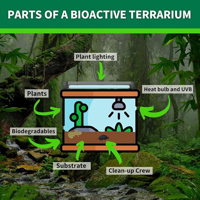 The Bio Dude Terra Aranea 6 quarts Bioactive Substrate for Tarantulas, Centipedes, Scorpions, Isopods and Millipedes Terrarium and Vivarium Habitat Bedding for invertebrates
