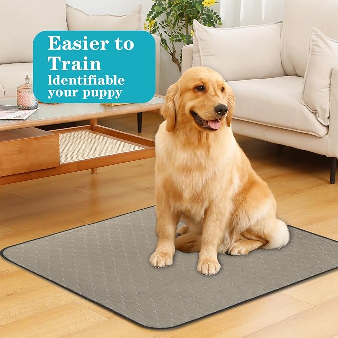 Bunlitent Washable Pee Pads for Dogs, 36x48, 5 Pack, Reusable Puppy Pads | Reusable, Quick Dry, Anti-Slip, Large, Waterproof, Whelping Pad for Pet, Playpen, Incontinence, Housebreaking, Brown