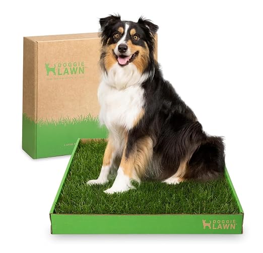 DoggieLawn Real Grass Dog Pee Pads with Tray - Large Dog Potty Pad 24x24 | No-cleaning, odor-reducing puppy potty training pad for housebreaking, indoor or outdoor use, real grass, replace when needed