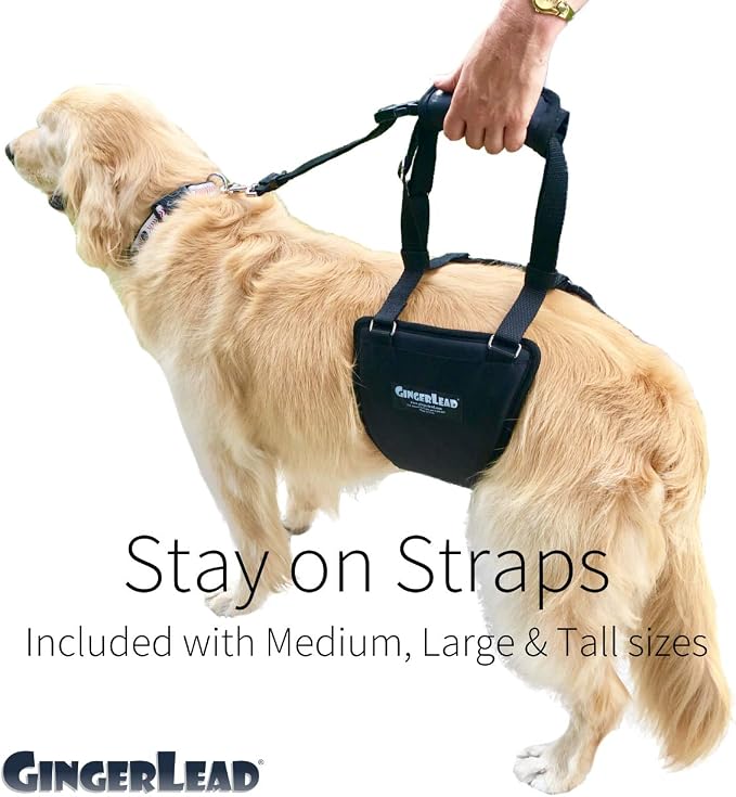 Dog Sling Hip Lift Support Harness, Tall Female, Made in USA | Fits Tall, Lean Dogs like Greyhounds or Great Danes, Padded Mobility Aid, Help Pets Walk or Balance, Machine Wash & Dry