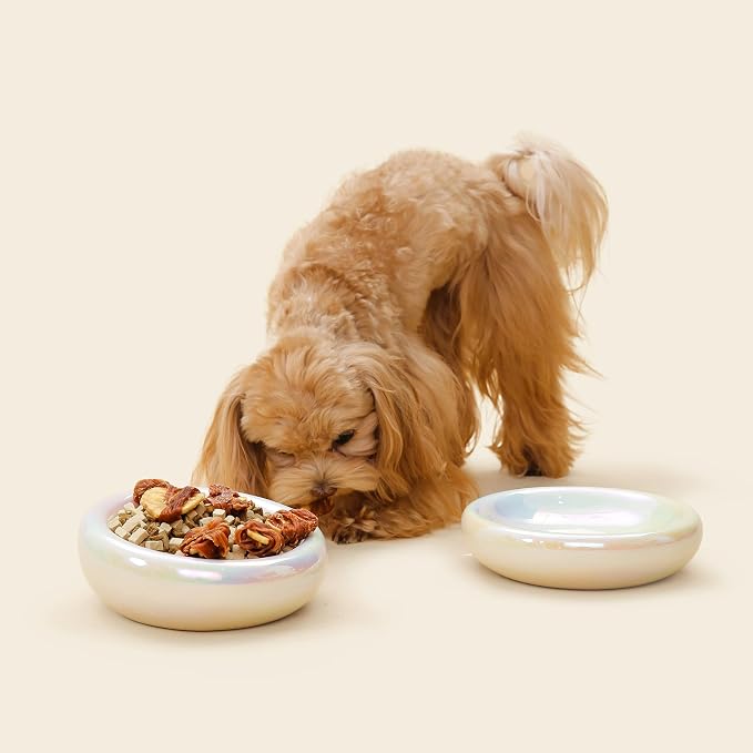 Pebble Pet Bowl Deep Pearl, Ergonomic Dog Cat Feeding Bowl, Flat-Faced Breed, Tilted Ceramic Pet Food Dish, Scooper Eater, Anti-Spill Design, Dishwasher Safe, Modern Pet Bowl, Dry & Wet Diet