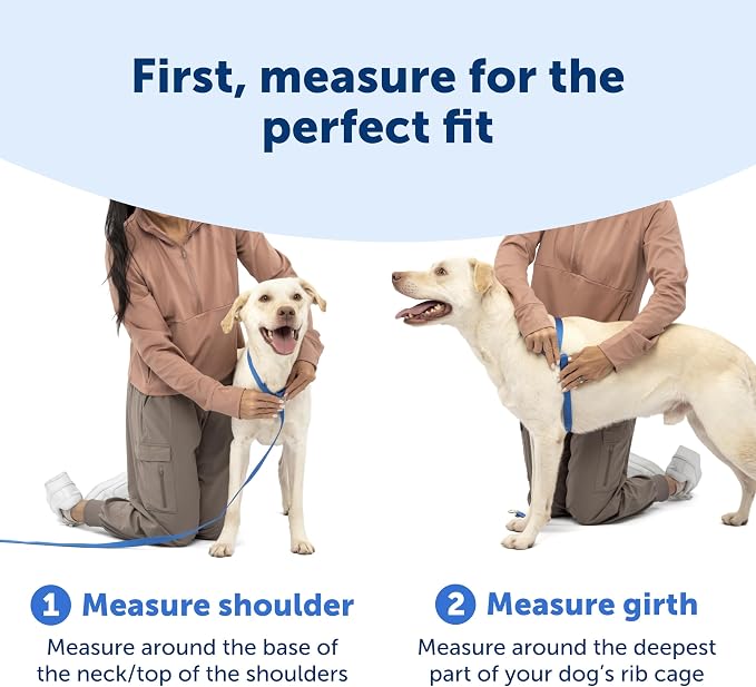 PetSafe Easy Walk Comfort No Pull Dog Harness, Pink, Extra Small | Stops Pulling on First Use with Front Martingale Loop, Full-Body Padding, 5-Point Adjustable Fit