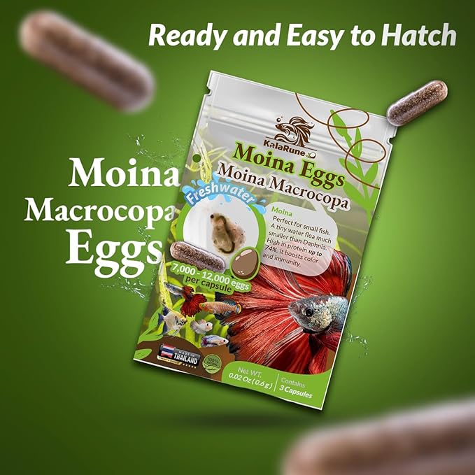 Moina macrocopa Eggs (Water Flea) - for Hatching, Freshwater Live Fish Food for Newborn Fry, Betta Fish and Other Aquatic Species. Encourages Natural Hunting Behavior in Fish. 3 Capsules