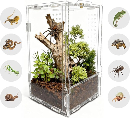 The Ultimate Small Animal Terrarium 4.72" x 4.33" x 7.8": A Versatile Reptile & Critter Tank for Lizards, Spiders, Snakes, Frogs, Hermit Crabs & More