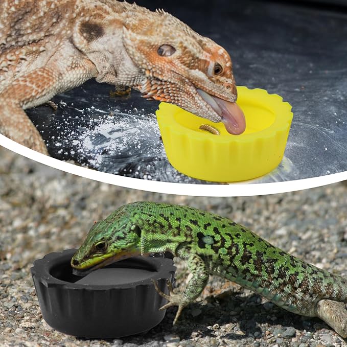 10 Pack Colorful Crested Gecko Feeding Dishes Reusable Small Reptile Food and Water Bowls Accessories for Cresteds, Tortoises, Crabs, and Small Pets10 Colors